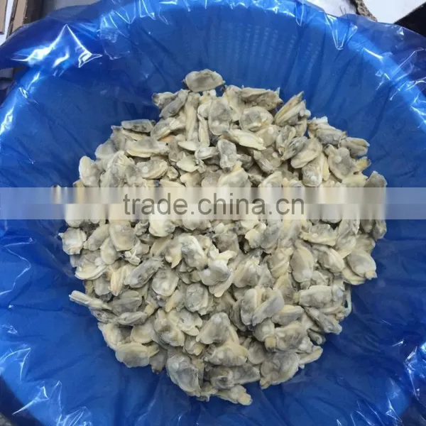2016 Frozen Cooked Baby Clam Meat photo-2