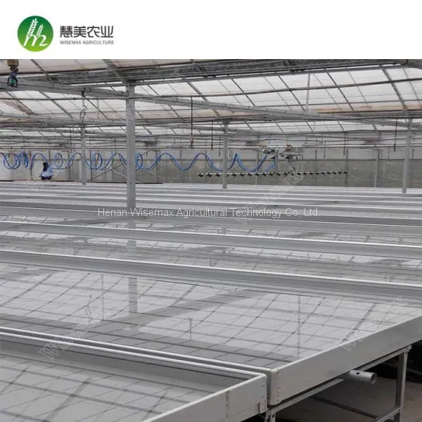 Aluminum Frame With Hot Galvanized Greenhouse Ebb and Flow Rolling Bench photo-4