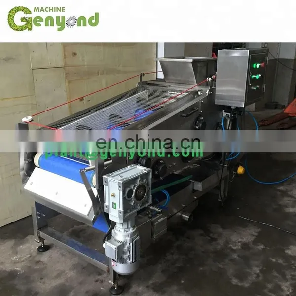 GYC Industria Belt Type Sugar Cane Sugarcane Apple Lemon Orange Fruit Vegetable Radish Juice Extractor With High Rate 75-83% photo-3