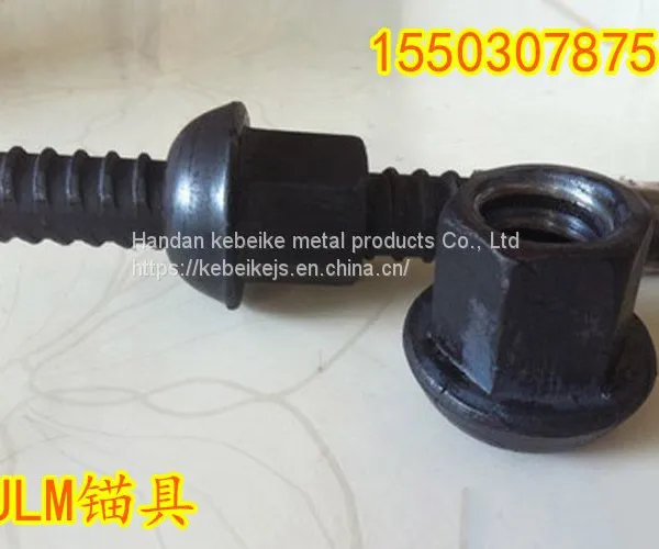 Hexagon steel nuts, high strength, thick tooth nuts for high speed bridge construction, supplied by China
