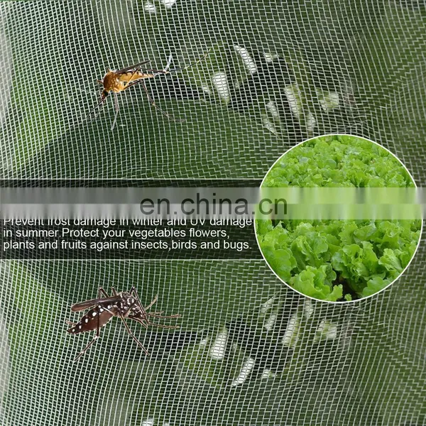 60 Insect Mesh Transparent Color Plastic Anti Insect Netting to Cover Greenhouse Plants photo-3