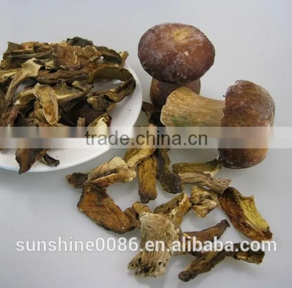 The Lower Market Price of Boletus Porcini Mushroom From Yunnan photo-2