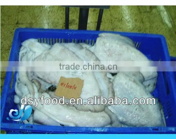 Fresh Frozen Whole Cuttlefish on Sale photo-2