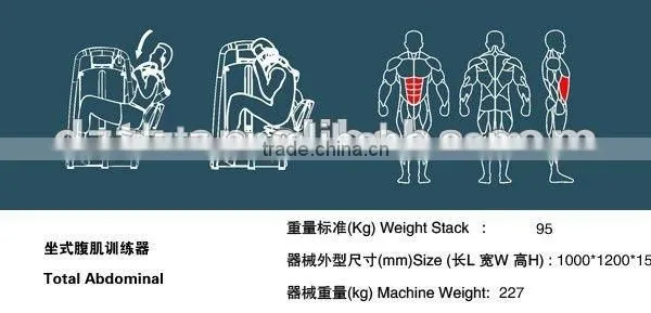 Total Abdominal/ Gym Fitness Equipment/best Selling TZ-6015 photo-5