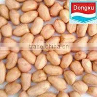 Peanut/ Peanut Kernels