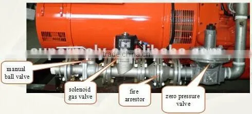 ISO Approved 500kw /625kva Gas Generator for Iran Market photo-6