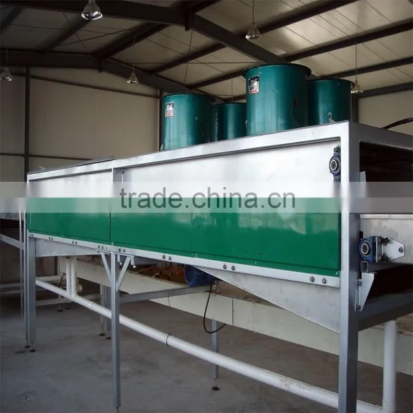 Kiwi Sorter Machine photo-6