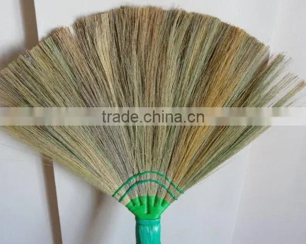 Broom Stick Flower