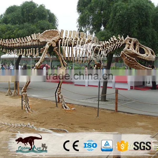 Dinosaur Exhibition Simulation Metal Dinosaur Skeleton photo-2
