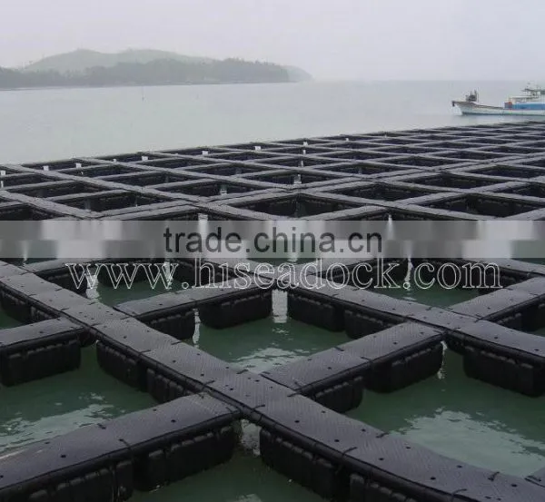 Plastic Fishing Pontoon photo-5