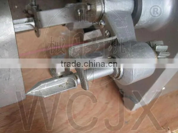 W85 CE Certificate Stainless Steel Automatic Industrial Multifunction Apple Peeler Apple Corer Peeler Made in China for Sale photo-6