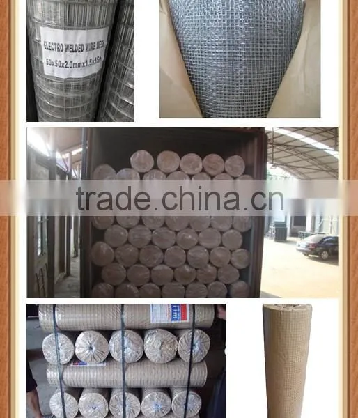Wire Mesh/ High Quality Hightop Mesh, Wire Mesh for Fence photo-4