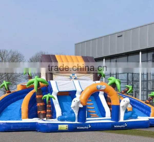 Boys and Girls Water Inflatable Pool Slide, Low Price Inflatable Waterslide on Sale photo-3