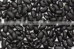Canned Black Kidney Beans in Brine photo-3