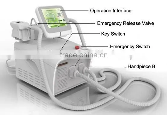 Loss Weight Fat Measurements Pliers Freeze Body Weight Loss Electronic Machine 2015 Cryolipolysis Machine 50 / 60Hz photo-5