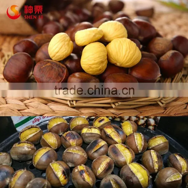 Organic Raw Fresh Chestnut Chinese Bulk Chestnuts Price photo-4