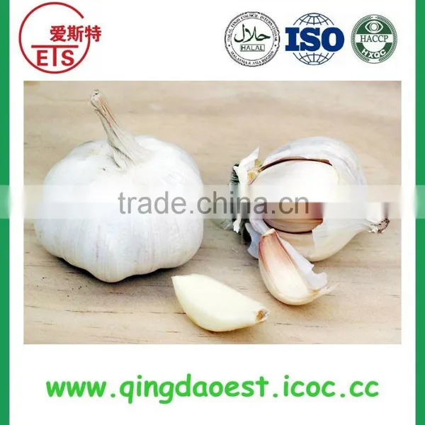 2016 High Quality Fresh White Garlic From China photo-5