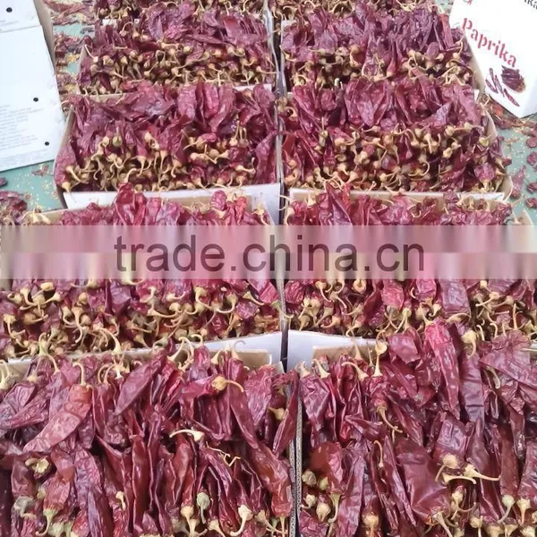 2015 Paprika Box Best Grade Paprika Pods photo-2