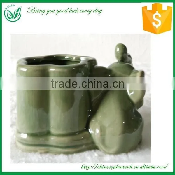Lucky Bamboo Animal Shape Flower Pot photo-4