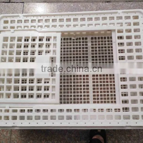 Plastic Chicken Transfer Basket
