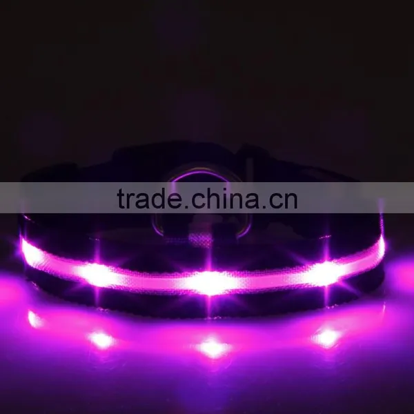 Black Webbing Led Luminous Dog Collars photo-2