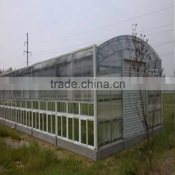 PC Sheet Venlos Greenhouse Polycarbonate Greenhouse for Agriculture Growing photo-4