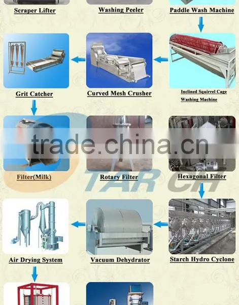 Henan Specialized Firm Supply Full Automatic Garri Production Line With Low Price photo-4