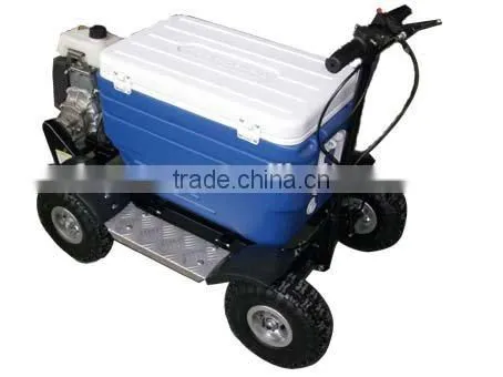 Adult Gas Scooter Cooler Cooler Ice Cooler photo-5