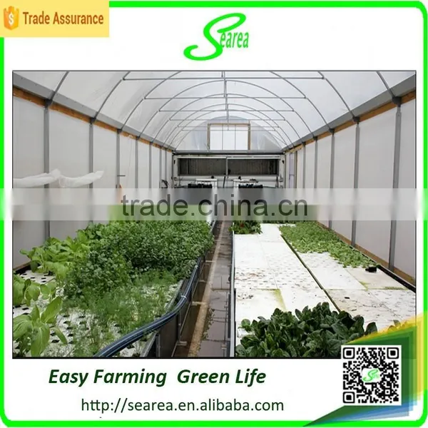 Low Cost Plastic Agriculture Greenhouse photo-3