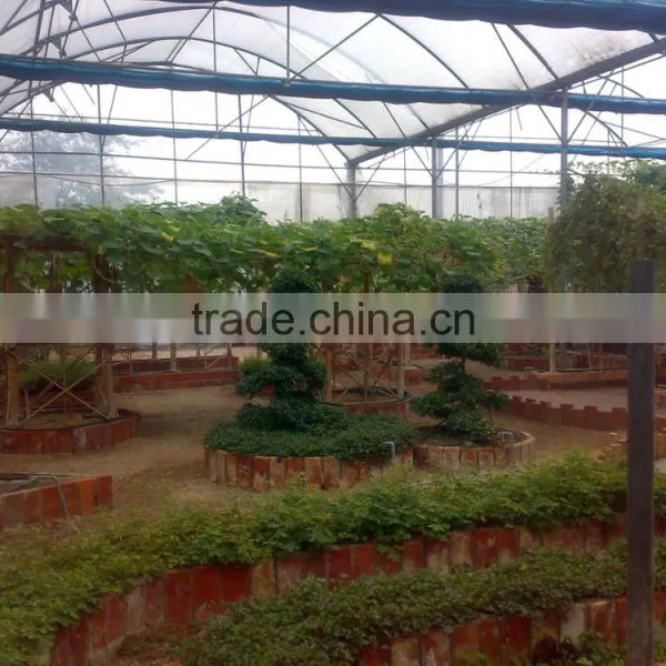 Greenhouse Mesh Made in China photo-2