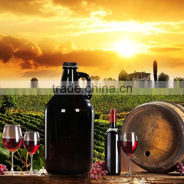 Home Brew Big Glass Por /home Brew Glass Pot for Wine Glass photo-5
