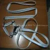 Reflective Dog Leash