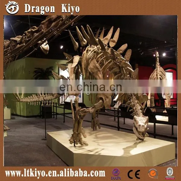 Theme Park High Simulation Dinosaur Skeleton Fossil photo-2