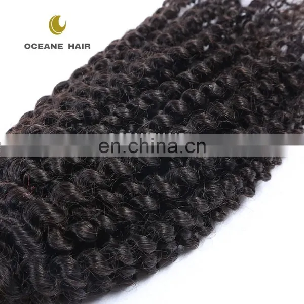 Unprocessed Brazilian Human Hair, Kinky Curly Virgin Human Hair Weave photo-6