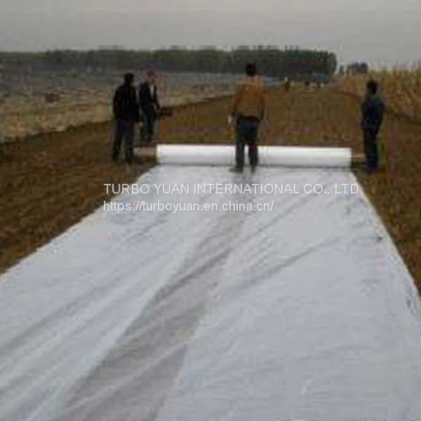 100% Virgin Transparent Tarpaulin Anti Rain Plastic Cover Sheets for Fruit Tree photo-4