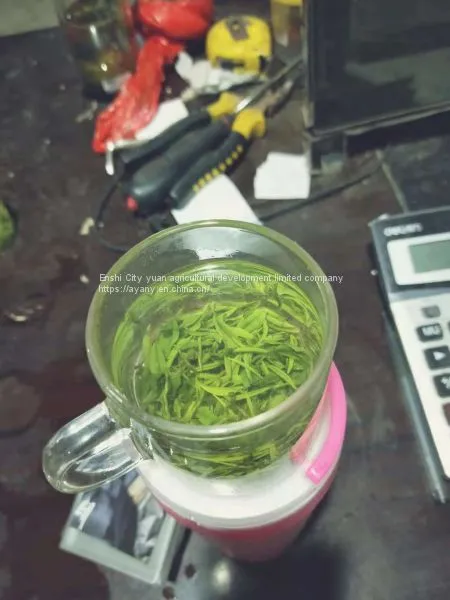 China's Advanced Green Tea Enshi Selenium Rich Longjing Tea Healthy Weight Loss TeaSelenium-rich Longjing Tea photo-2