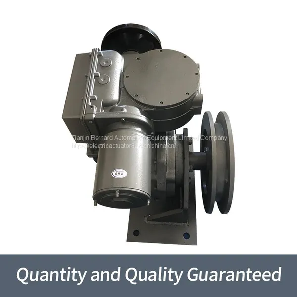 Bernard Intelligent Electric Actuator SKD120 / FYT Multi-turn Valves Separate Devices photo-5