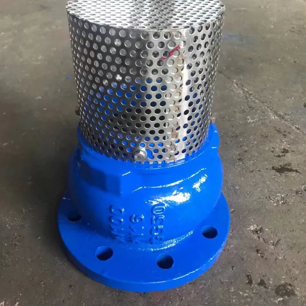 ANSI PN10 PN16 DN50-DN300 GG25 GGG50 Filter Cast Iron WCB Flanged Ductile Iron Lift Foot Valve photo-5