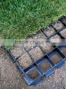 Grass Pavers photo-3