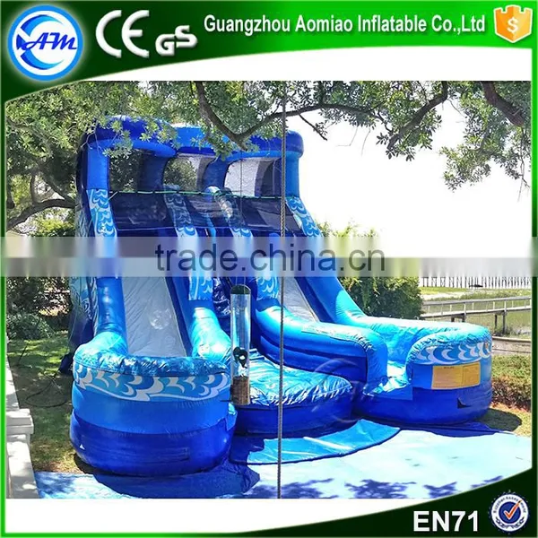 New Design Large Double Inflatable Water Slide,inflatable Titanic Slide Bounce Supplier's Choice photo-2