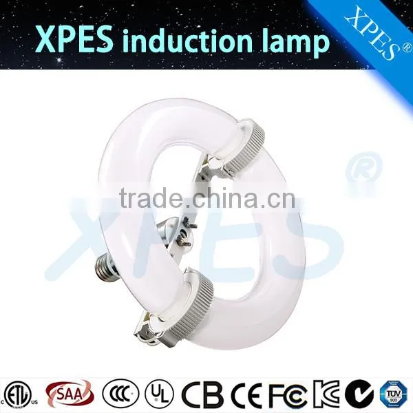 High Efficiency Good Price Induction Lamps From 80watt to 400watt photo-3