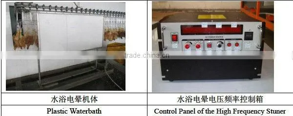 Poultry Killing and Bleeding Line photo-3