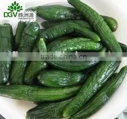 Canned Bulk Baby Cucumber