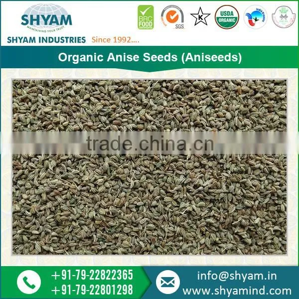 Superior Quality Organic Anise Seeds at Cheap Price