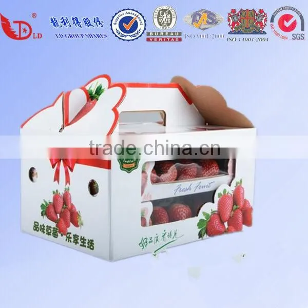 Large Assortment Fruits Packaging Carton Box photo-6
