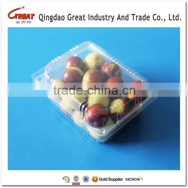 Wholesale High Quality Clear Fruit Plastic Packaging Box photo-2