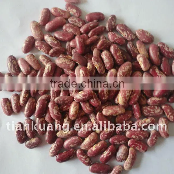 Light Speckled Kidney Beans
