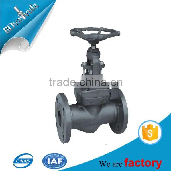 ANSI Globe Valve Gray Iron Class900 photo-2