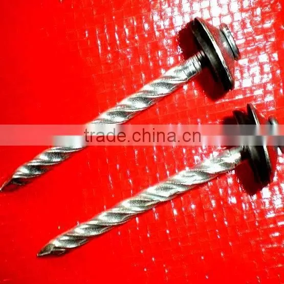 Sudan Market Twisted Nails photo-2
