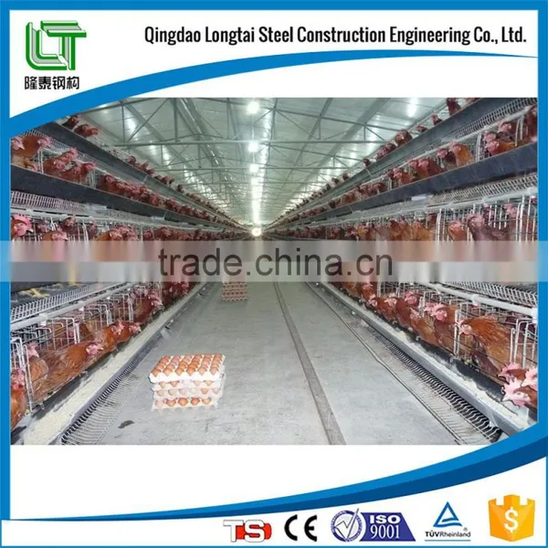 Steel Structure Poultry House and Poultry Farming
